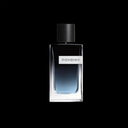 YSL Y